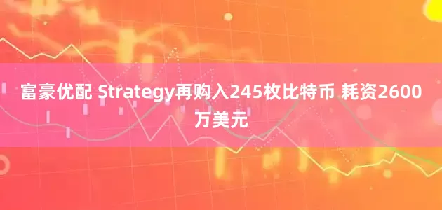 富豪优配 Strategy再购入245枚比特币 耗资2600万美元