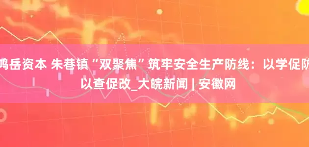 鸿岳资本 朱巷镇“双聚焦”筑牢安全生产防线：以学促防  以查促改_大皖新闻 | 安徽网