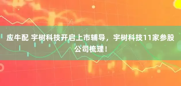 应牛配 宇树科技开启上市辅导，宇树科技11家参股公司梳理！