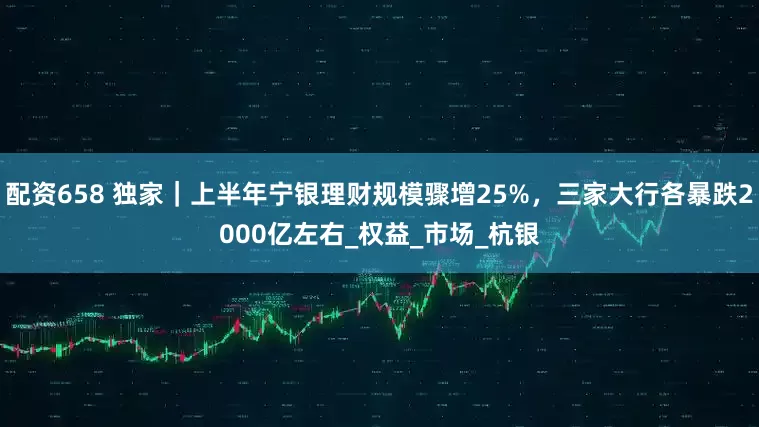 配资658 独家｜上半年宁银理财规模骤增25%，三家大行各暴跌2000亿左右_权益_市场_杭银