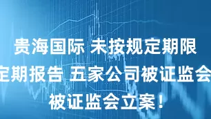 贵海国际 未按规定期限披露定期报告 五家公司被证监会立案！